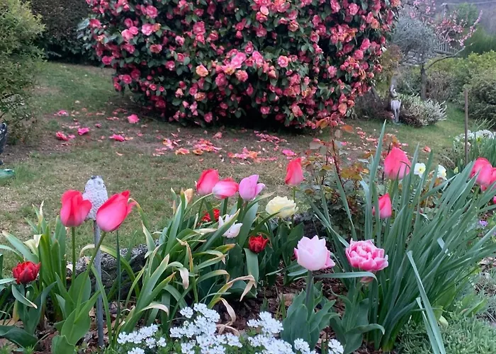 Casa Fiorita, Luino, il tempo rallenta tra lago e fiori